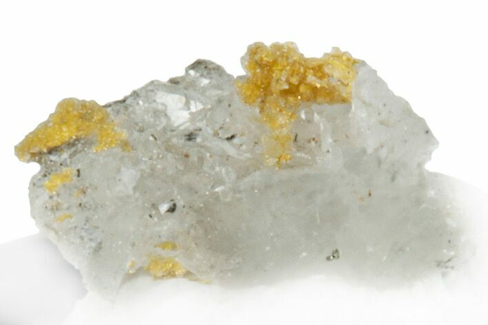 Native Gold Formation in Quartz - Morocco #296644